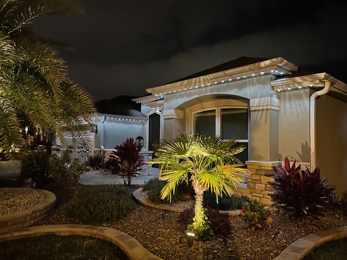 Home with a palm tree and pure white roofline lighting