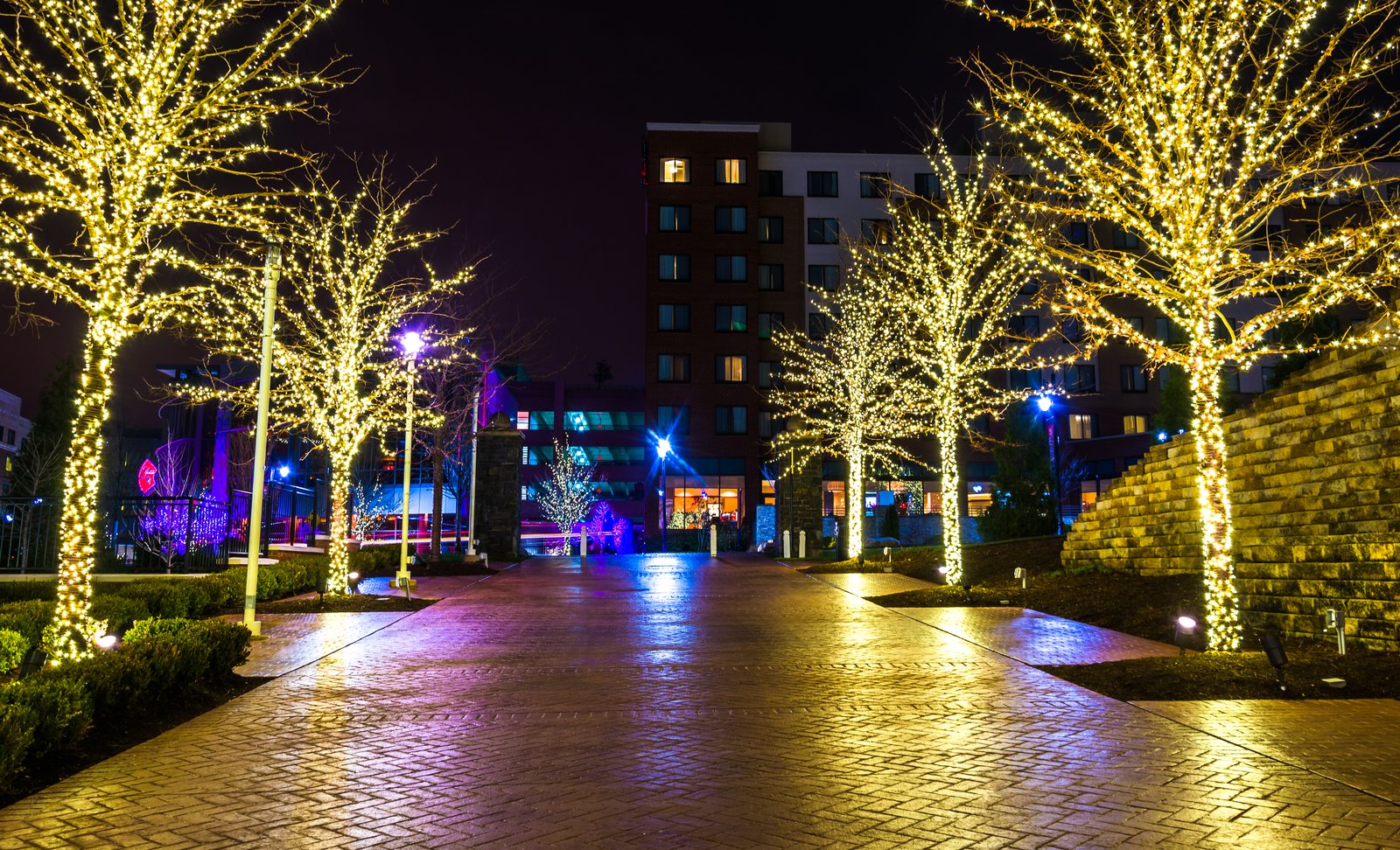 Commercial plaza walkway lined with trees wrapped in warm white lights