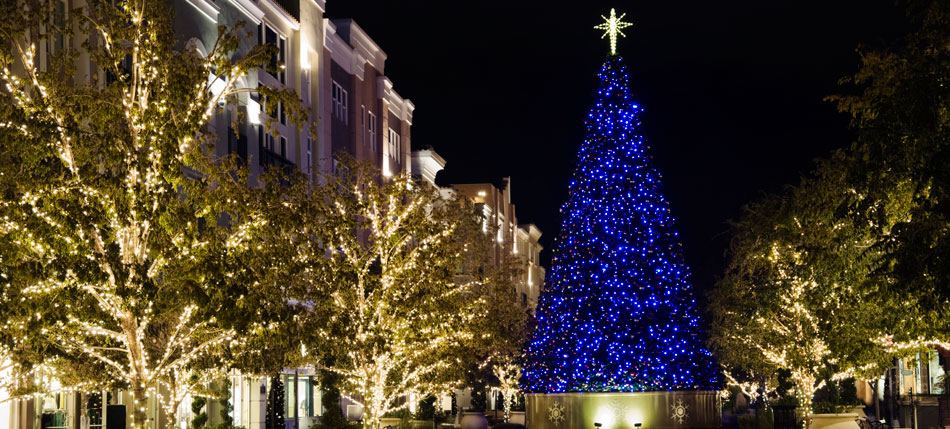 Blue-lit tree with a star topper in a community plaza